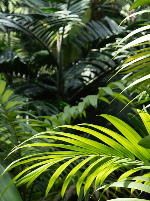 Sample photo